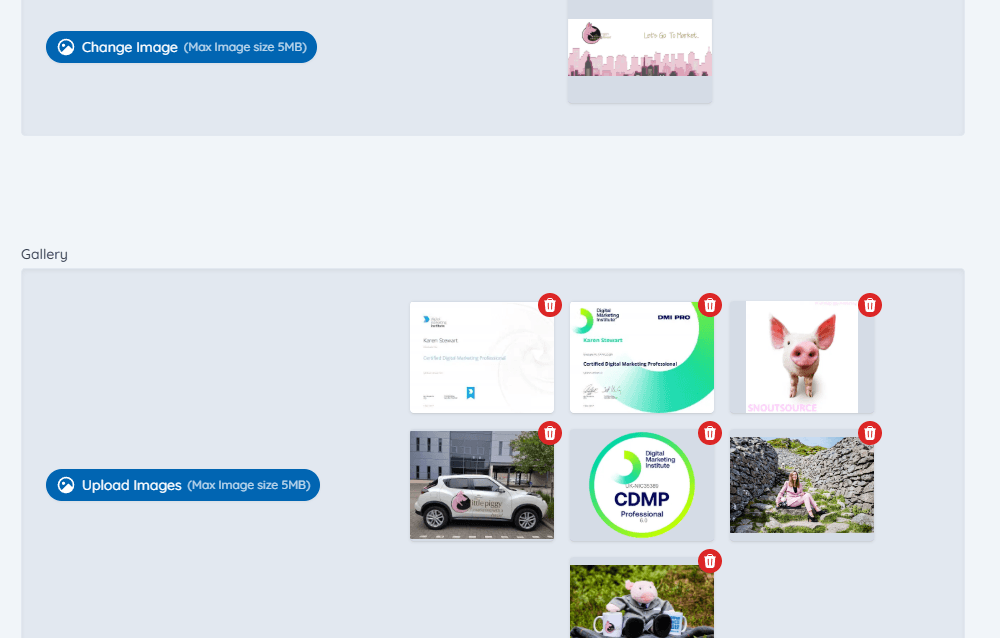 Bespoke Web Application Development