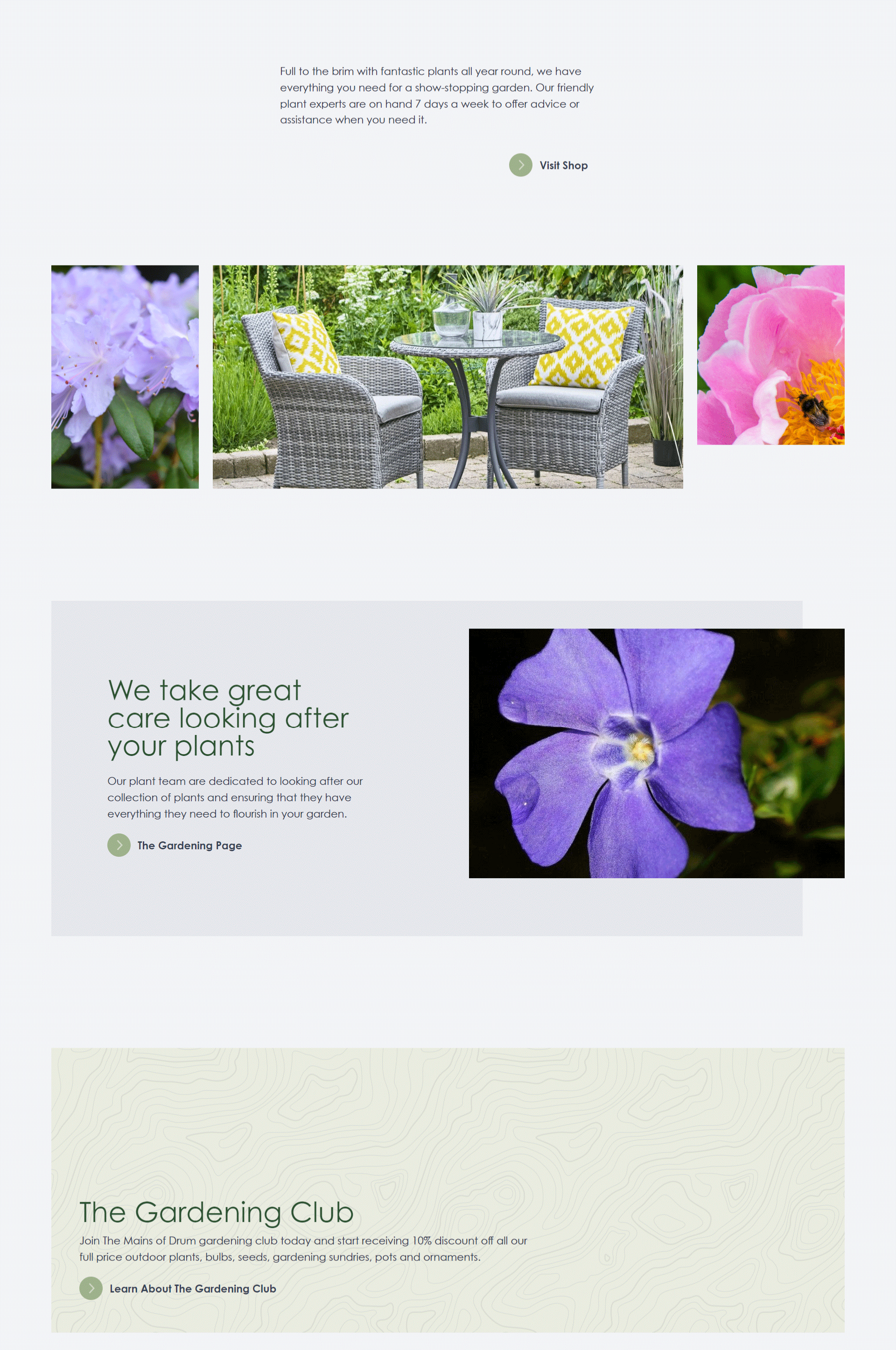 Frontend Development