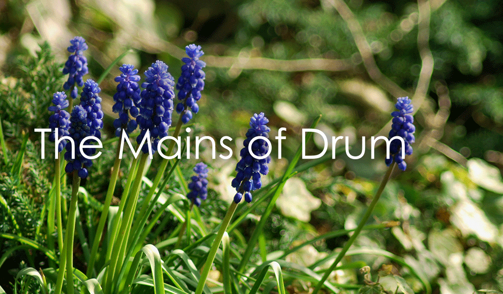 The Mains of Drum Garden Centre